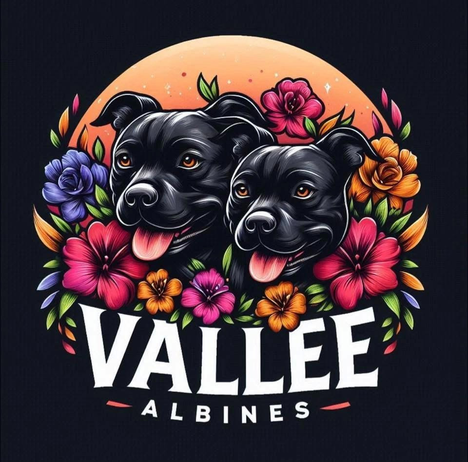 De La Vallee Albines
